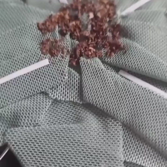 vidéo d'une fleur et d'un cadre déco